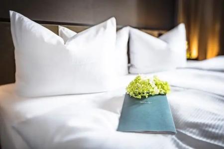 SCHLOSS Fleesensee - 16