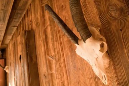 Zur Schönen Aussicht garni - 16