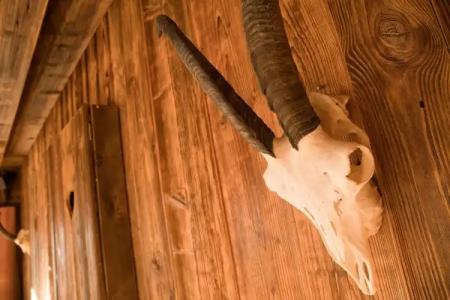 Zur Schönen Aussicht garni - 23