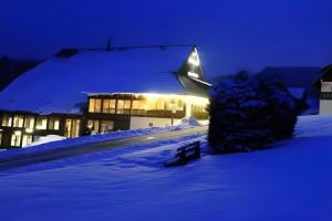 Landhotel Thalerhausle Ochsen, Furtwangen