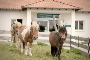 Hotelferienanlage Friedrichsbrunn, Thale