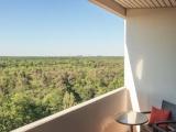 1 Bedroom Suite with balcony