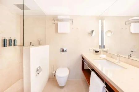 Kempinski Frankfurt Gravenbruch - 8