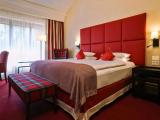 Deluxe Double room with park view