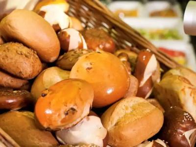 Mercure Residenz Frankfurt Messe - 38