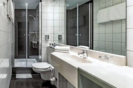 Mercure Frankfurt City Messe - 106