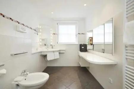 Rosenstock - Erwachsenen- Adults only 15 plus - 9