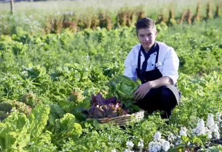 Mintrops Land Burgaltendorf - 24