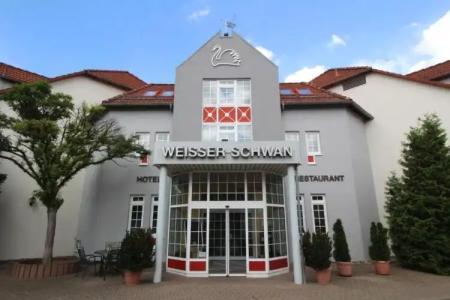 Weisser Schwan - 43