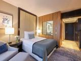 Superior Double room with city view