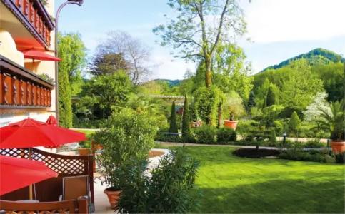 Rebstock Durbach - 82