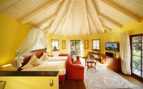 Rebstock Durbach - 5