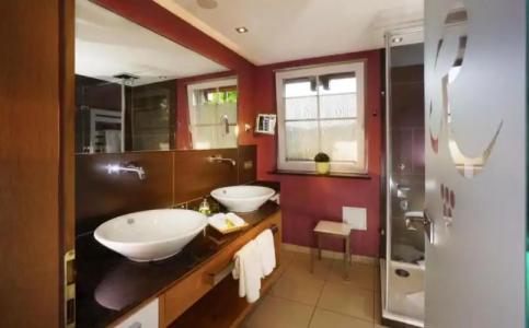 Rebstock Durbach - 74