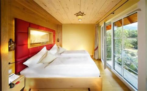 Rebstock Durbach - 101