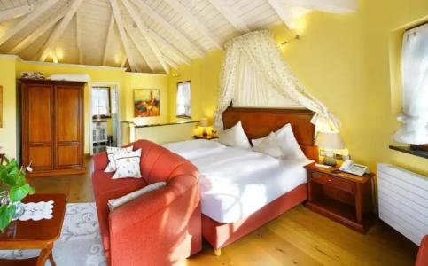 Rebstock Durbach - 73