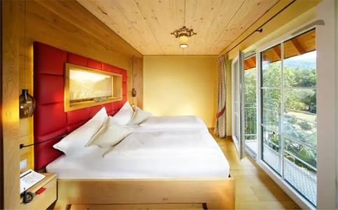 Rebstock Durbach - 105