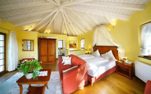 Rebstock Durbach - 77