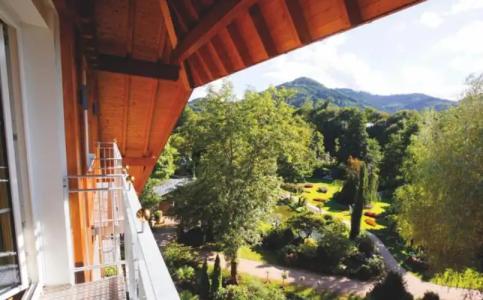 Rebstock Durbach - 27