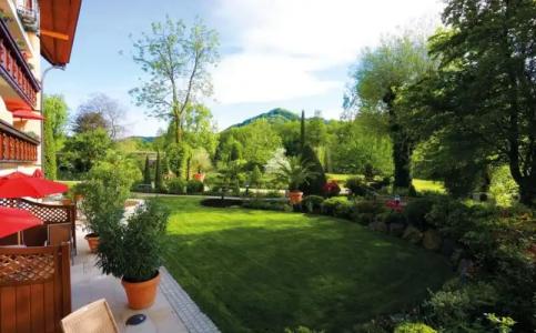 Rebstock Durbach - 21