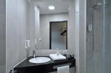 Holiday Inn Dresden - City South, an IHG - 146