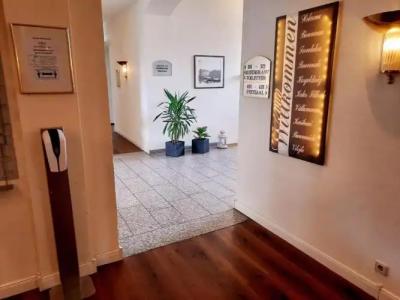 Bayerischer Hof Dresden - 14