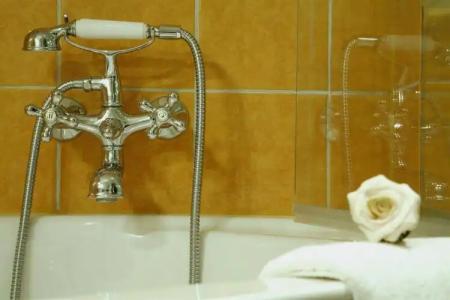 Schloss Dresden Pillnitz - 6