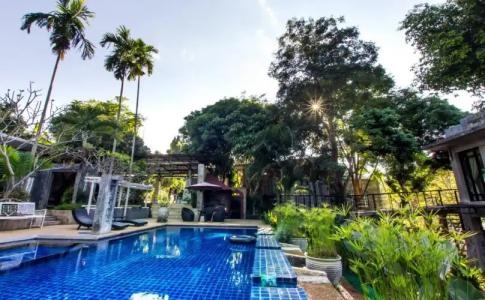 Capital O 464 At Nata Chiangmai Chic Jungle - 12