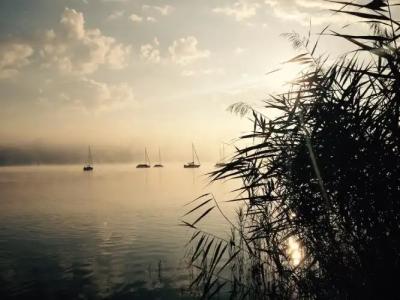 Gasthof Seefelder Hof - 17