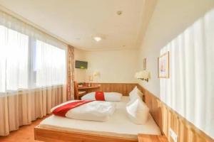 Hotel Drei Lowen, Dachau