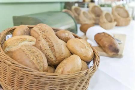 Spree - WaldCottbus - 13