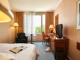 Standard Double room with garden view