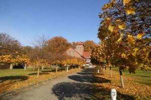 Waldhotel Eiche, Burg