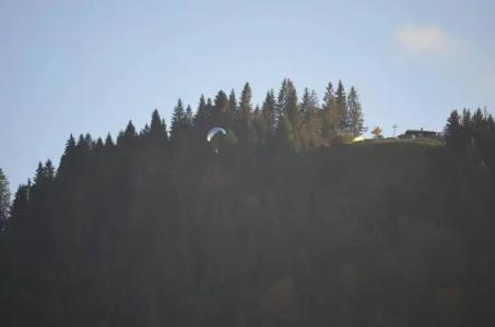 Alpchalet Schwanstein - 12