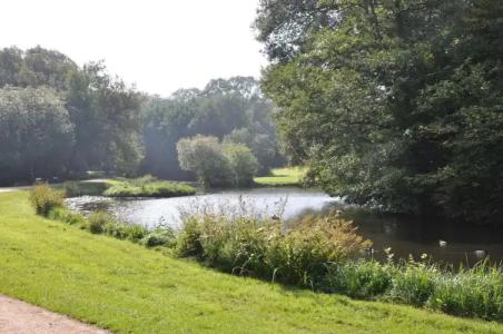 Munte am Stadtwald - 38