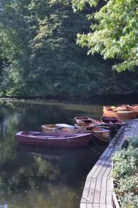 Munte am Stadtwald - 47