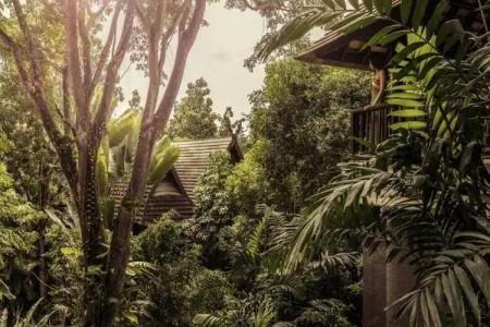 Four Seasons Resort Chiang Mai -SHA Plus - 54