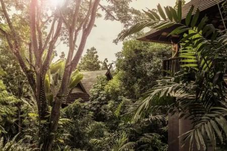 Four Seasons Resort Chiang Mai -SHA Plus - 51