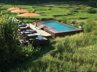 Four Seasons Resort Chiang Mai -SHA Plus - 12