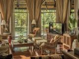 1 Bedroom Plunge Pool Residence
