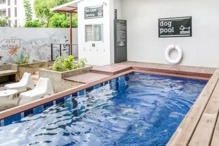 Ketawa Pet Friendly - 17