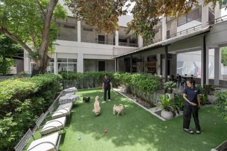 Ketawa Pet Friendly - 21