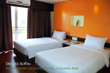Mayflower Grande Chiang Mai - 107