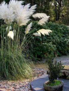 Wippertal - voll klimatisiert - 42