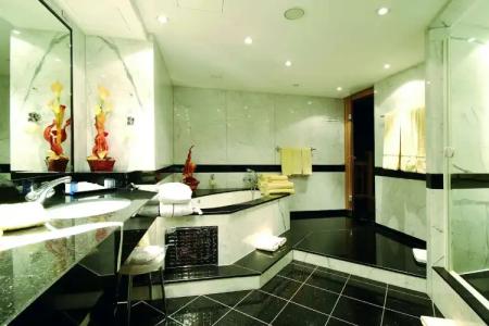 Maritim proArte Berlin - 24