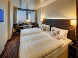 Superior Double room with city view