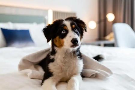 Courtyard by Marriott Berlin City Center - 28