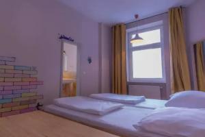 Sunflower Hostel, Berlin