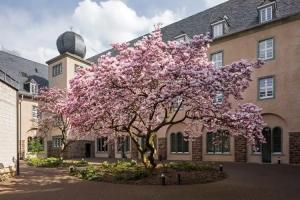 Kardinal Schulte Haus, Bergisch Gladbach