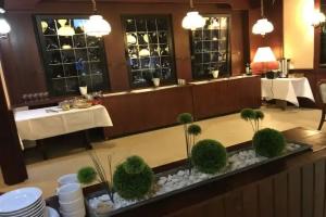 Parkhotel, Bergheim
