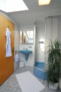 Grünberger superior - 56